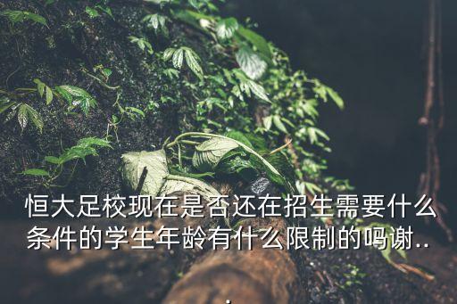 恒大足球?qū)W校如何進入,廣州恒大足球?qū)W校
