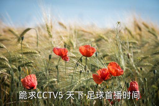 跪求CCTV5 天下 足球首播時間