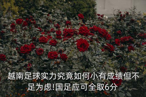 越南青年足球隊(duì)比賽視頻,中國青年足球隊(duì)對韓國比賽