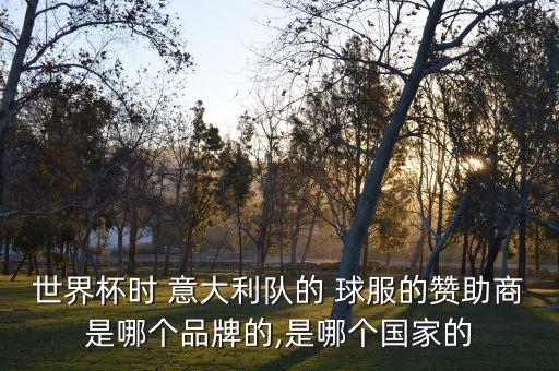 世界杯時(shí) 意大利隊(duì)的 球服的贊助商是哪個(gè)品牌的,是哪個(gè)國(guó)家的