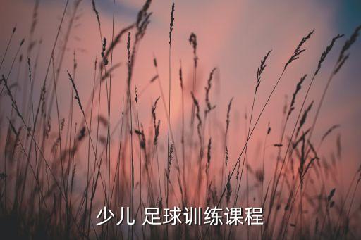 溫州小學(xué)生足球培訓(xùn)學(xué)校,成都足球培訓(xùn)學(xué)校