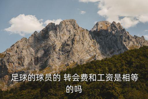  足球的球員的 轉(zhuǎn)會(huì)費(fèi)和工資是相等的嗎