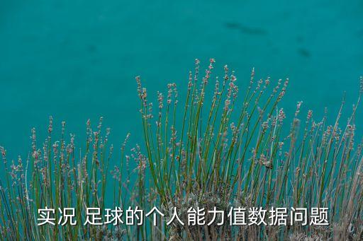  實(shí)況 足球的個(gè)人能力值數(shù)據(jù)問(wèn)題