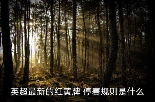 足球紅牌停賽幾場(chǎng),足球黃牌紅牌規(guī)則停賽多久