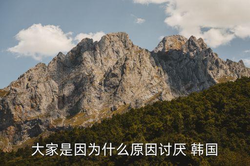 大家是因?yàn)槭裁丛蛴憛?韓國(guó)