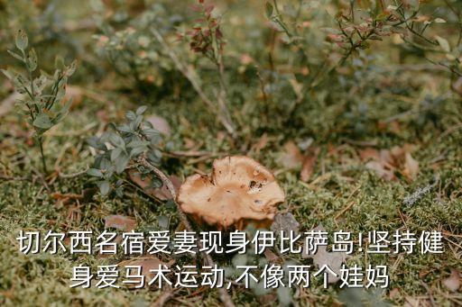 切爾西名宿愛妻現(xiàn)身伊比薩島!堅持健身愛馬術(shù)運動,不像兩個娃媽