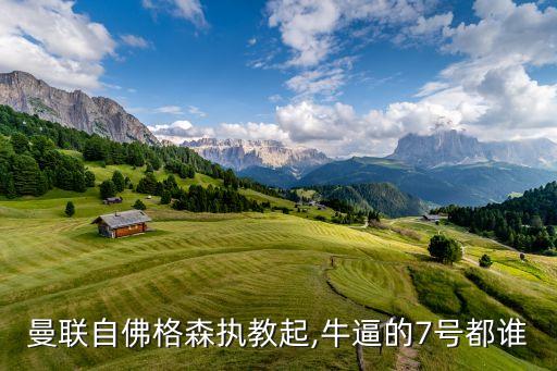 曼聯(lián)自佛格森執(zhí)教起,牛逼的7號(hào)都誰