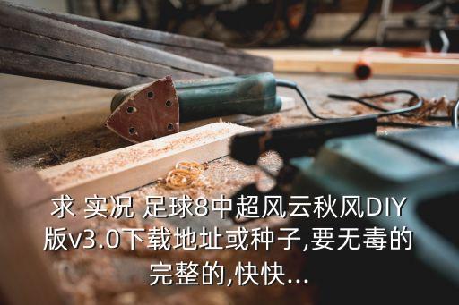 求 實況 足球8中超風云秋風DIY版v3.0下載地址或種子,要無毒的完整的,快快...