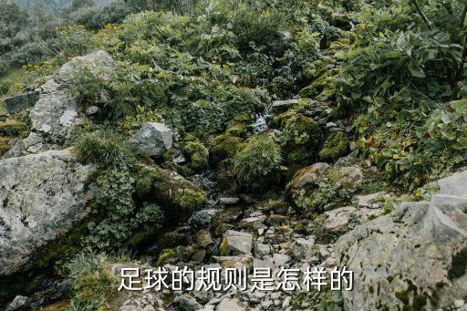 足球小組賽最后一輪同時(shí)開球來源