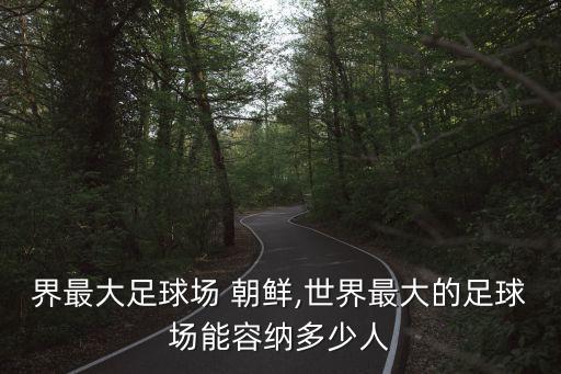 現(xiàn)世界最大足球場 朝鮮,世界最大的足球場能容納多少人