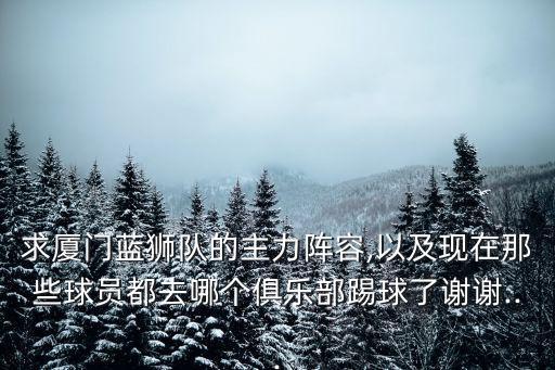 求廈門藍獅隊的主力陣容,以及現在那些球員都去哪個俱樂部踢球了謝謝...