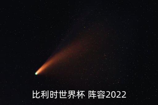 比利時(shí)世界杯 陣容2022