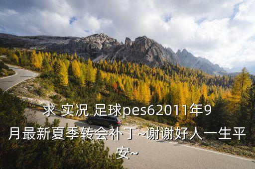 求 實況 足球pes62011年9月最新夏季轉(zhuǎn)會補丁~謝謝好人一生平安~