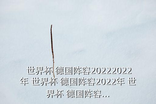  世界杯 德國(guó)陣容20222022年 世界杯 德國(guó)陣容2022年 世界杯 德國(guó)陣容...