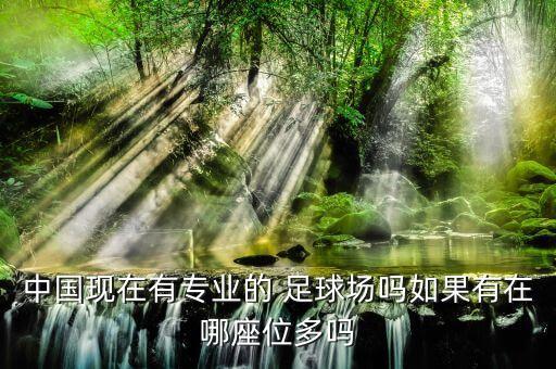中國現(xiàn)在有專業(yè)的 足球場嗎如果有在哪座位多嗎
