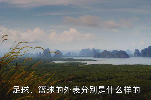  足球、籃球的外表分別是什么樣的