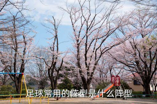 守式足球,足球運(yùn)動員守元