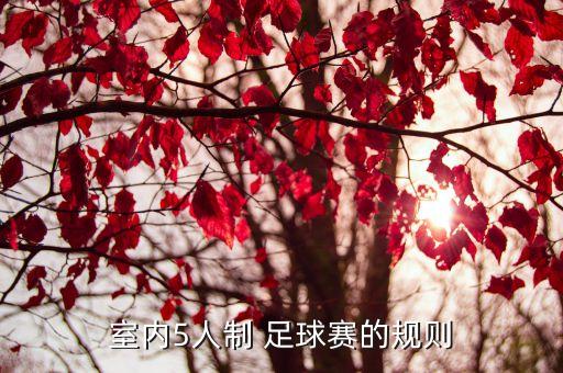 室內(nèi)5人制 足球賽的規(guī)則