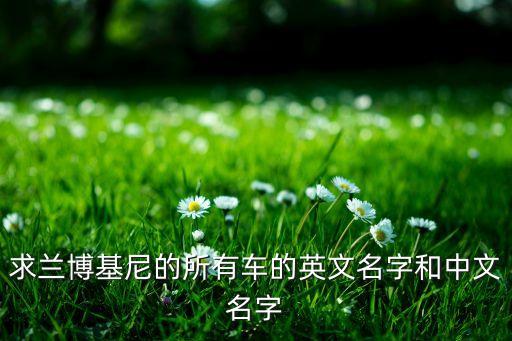 求蘭博基尼的所有車(chē)的英文名字和中文名字