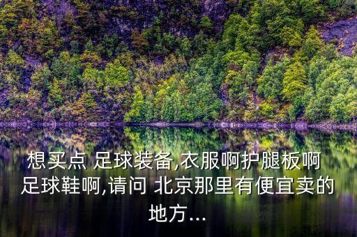 想買點(diǎn) 足球裝備,衣服啊護(hù)腿板啊 足球鞋啊,請(qǐng)問(wèn) 北京那里有便宜賣的地方...