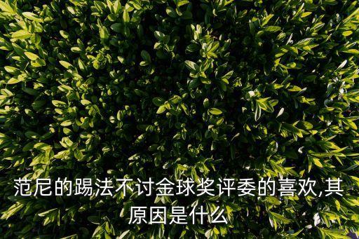 范尼的踢法不討金球獎(jiǎng)評委的喜歡,其原因是什么