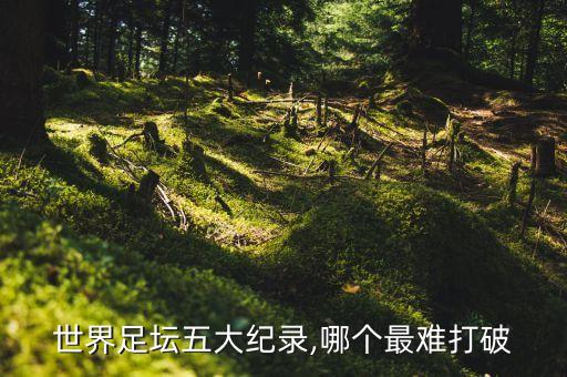 世界足壇五大紀(jì)錄,哪個(gè)最難打破