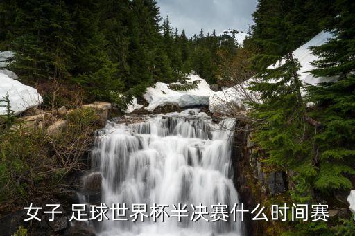 女子 足球世界杯半決賽什么時間賽