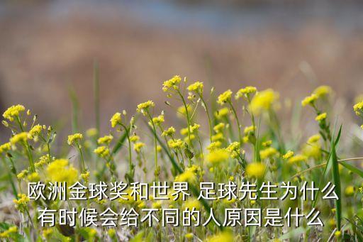  歐洲金球獎和世界 足球先生為什么有時候會給不同的人原因是什么