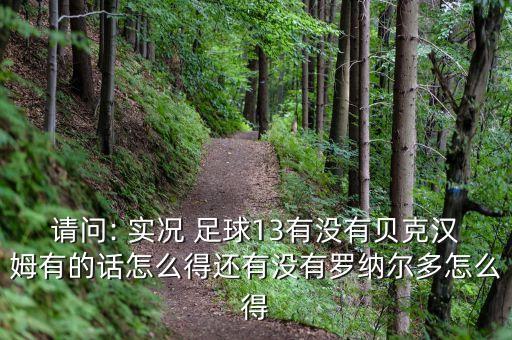 請(qǐng)問: 實(shí)況 足球13有沒有貝克漢姆有的話怎么得還有沒有羅納爾多怎么得
