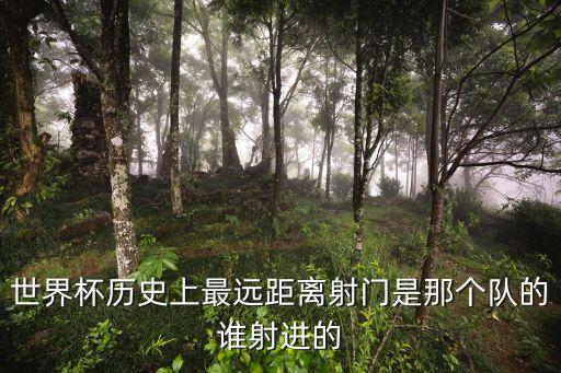 世界杯歷史上最遠(yuǎn)距離射門(mén)是那個(gè)隊(duì)的誰(shuí)射進(jìn)的