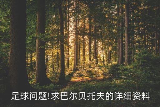  足球問題!求巴爾貝托夫的詳細資料