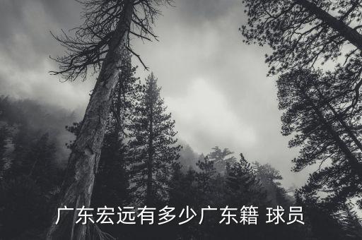 廣東宏遠(yuǎn)有多少廣東籍 球員