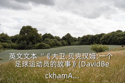 英文文本“《大衛(wèi).貝克漢姆:一個(gè) 足球運(yùn)動員的故事》(DavidBeckhamA...