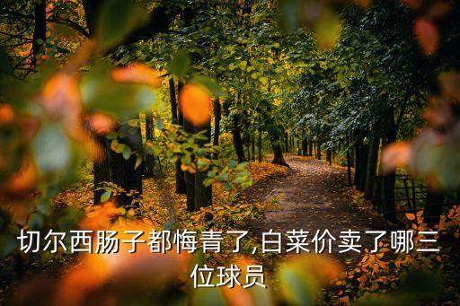 切爾西腸子都悔青了,白菜價(jià)賣了哪三位球員