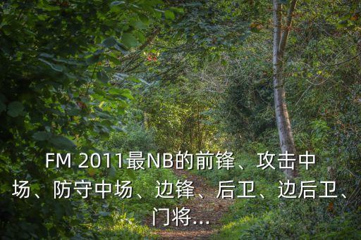 FM 2011最NB的前鋒、攻擊中場、防守中場、邊鋒、后衛(wèi)、邊后衛(wèi)、門將...
