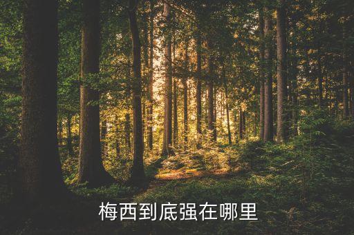 足球小說梅西 十年,2022年足球梅西