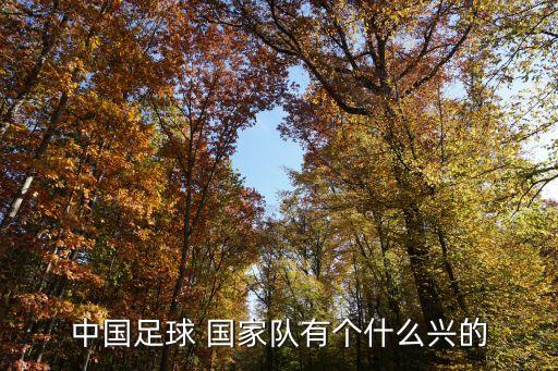 1958年中國國家足球隊(duì),2000年中國國家足球隊(duì)