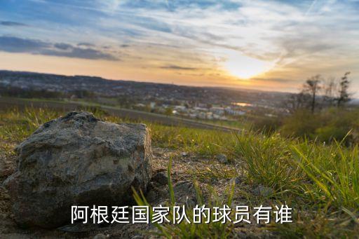 阿根廷現(xiàn)任足球隊(duì)員