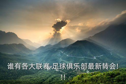 誰(shuí)有各大聯(lián)賽 足球俱樂部最新轉(zhuǎn)會(huì)!!!