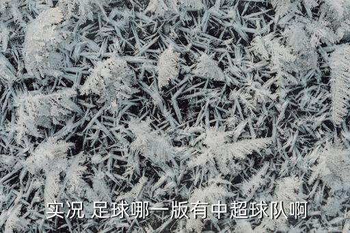 實(shí)況足球2017飛魚(yú)大補(bǔ)4.0
