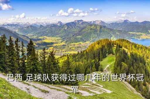 2018巴西隊(duì)足球戰(zhàn)靴