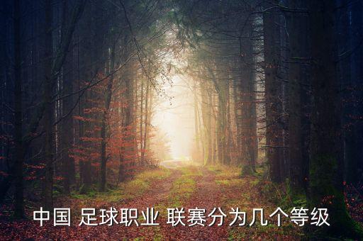 中國(guó) 足球職業(yè) 聯(lián)賽分為幾個(gè)等級(jí)