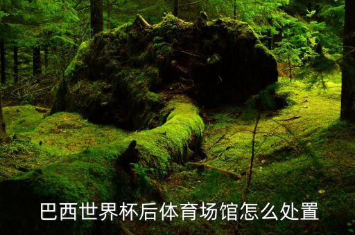  巴西世界杯后體育場館怎么處置