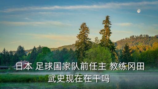  日本 足球國家隊(duì)前任主 教練岡田武史現(xiàn)在在干嗎
