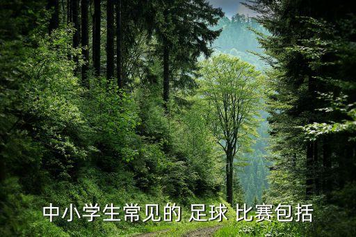 中小學(xué)生常見的 足球 比賽包括