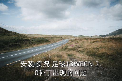 安裝 實況 足球13WECN 2.0補(bǔ)丁出現(xiàn)的問題