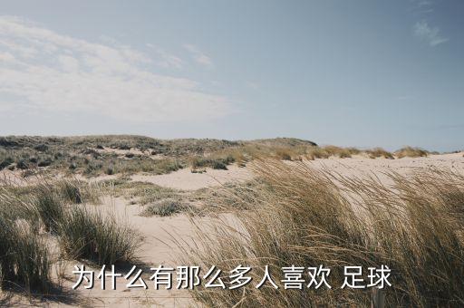 為什么有那么多人喜歡 足球