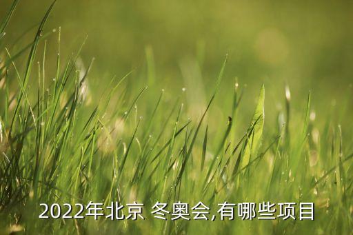 2022年北京 冬奧會,有哪些項目