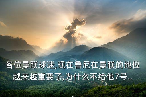 各位曼聯(lián)球迷,現(xiàn)在魯尼在曼聯(lián)的地位越來越重要了,為什么不給他7號...