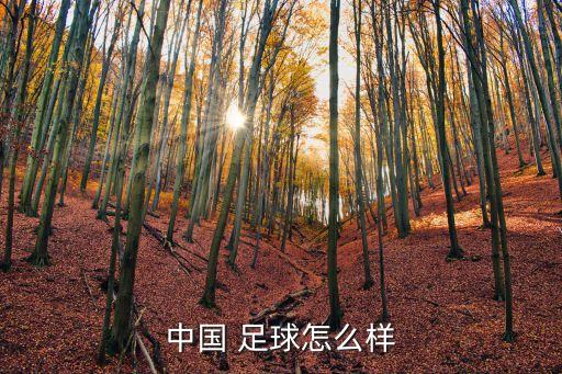 中國(guó)男子足球的評(píng)論